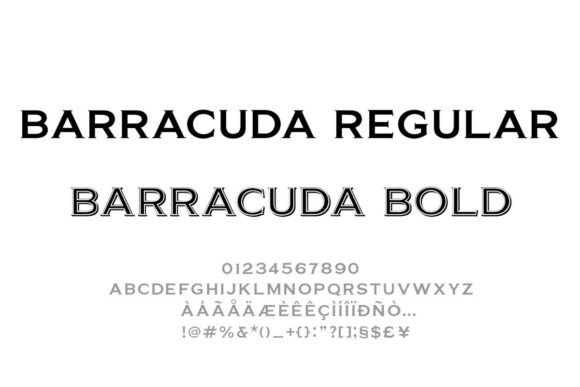 Barracuda Font for Web Design