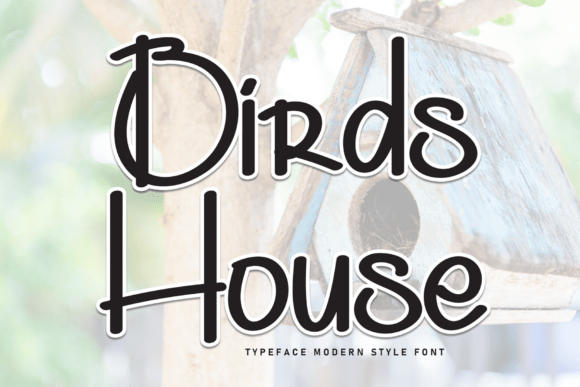 Birds House Font: Elegant Display Type
